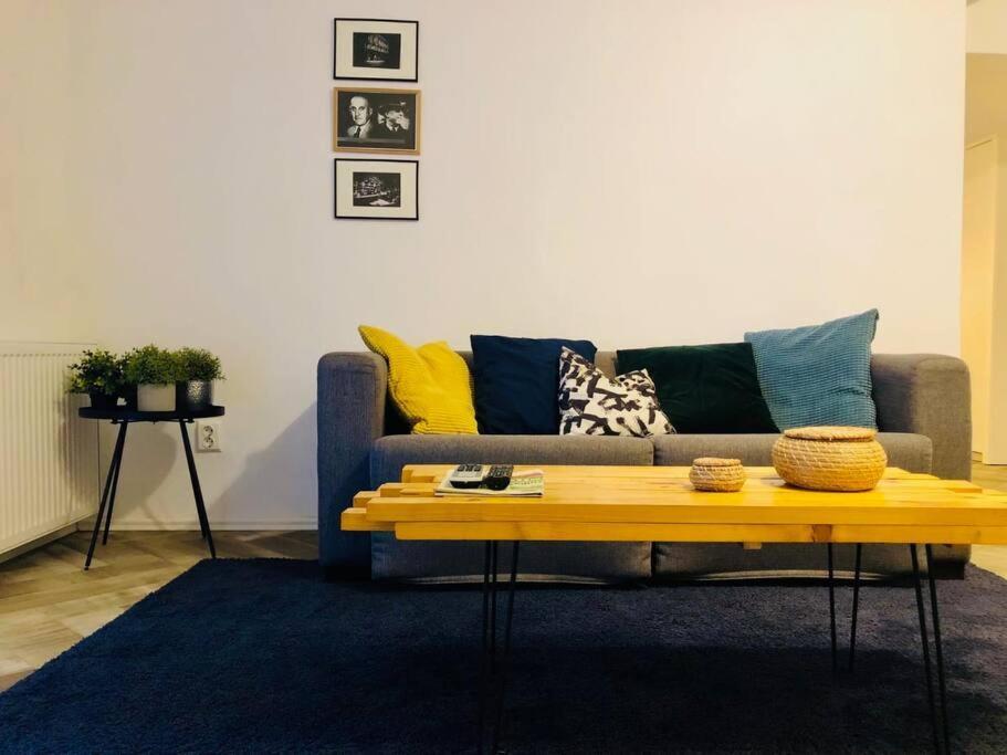 Joy City Stay Libertatii 9Mai 7 Timişoara Buitenkant foto